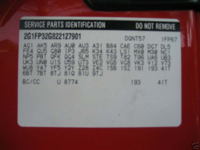 02sscvcollector/02sscollcvred2.jpg