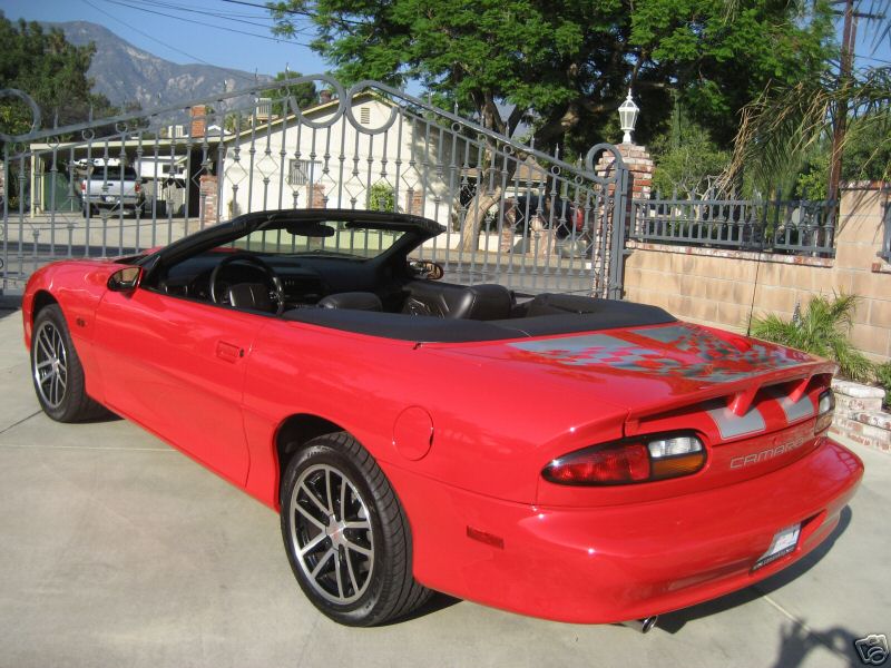 02sscvcollector/02sscollcvred21.jpg