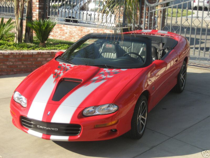 02sscvcollector/02sscollcvred23.jpg