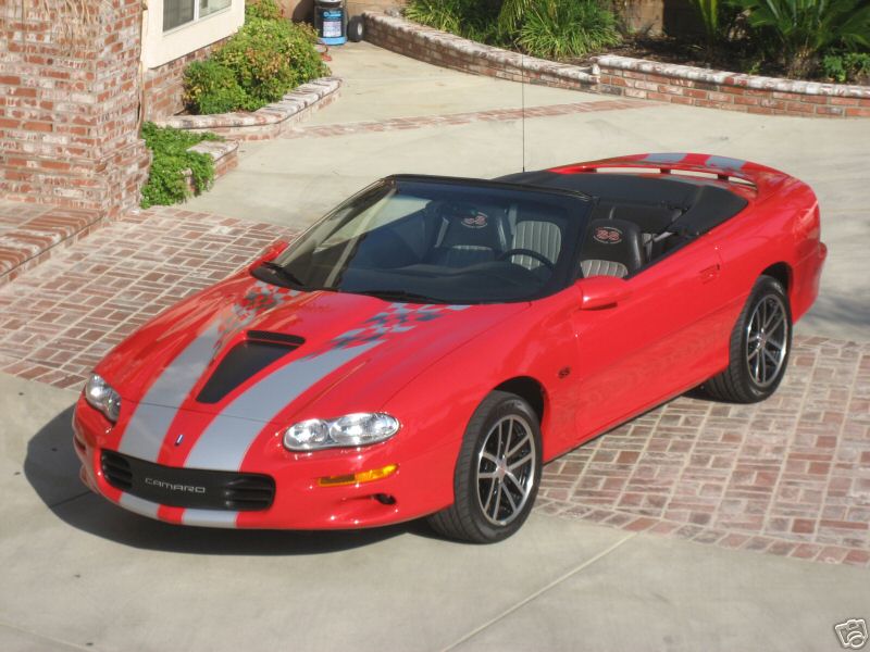 02sscvcollector/02sscollcvred24.jpg
