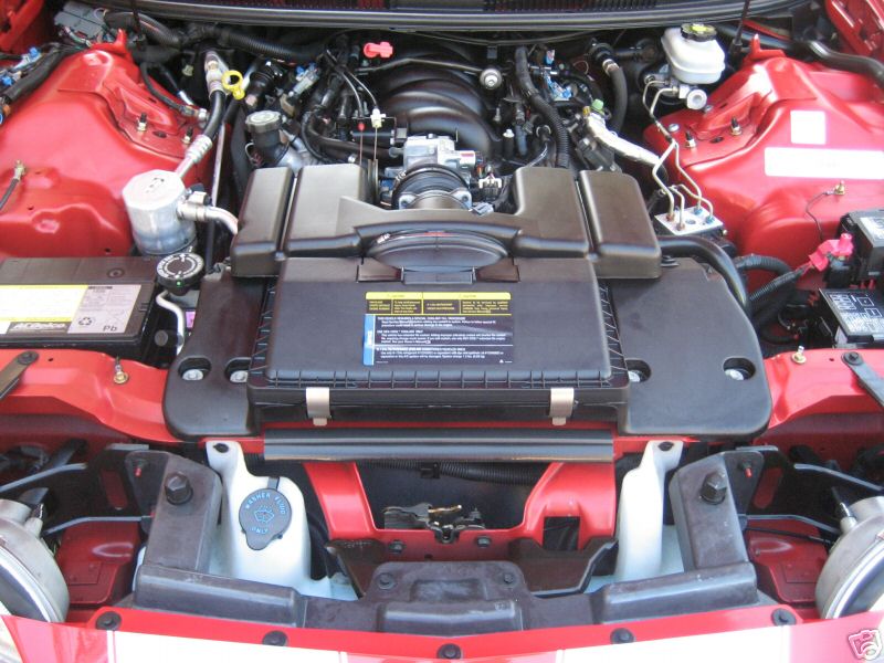 02sscvcollector/02sscollcvred3.jpg