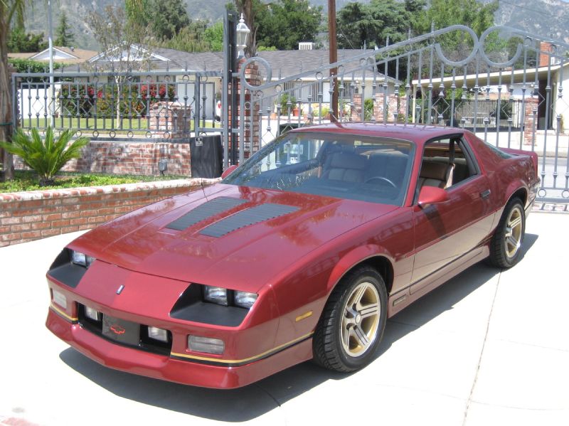 1988BURGENDYIROCZ/10.JPG