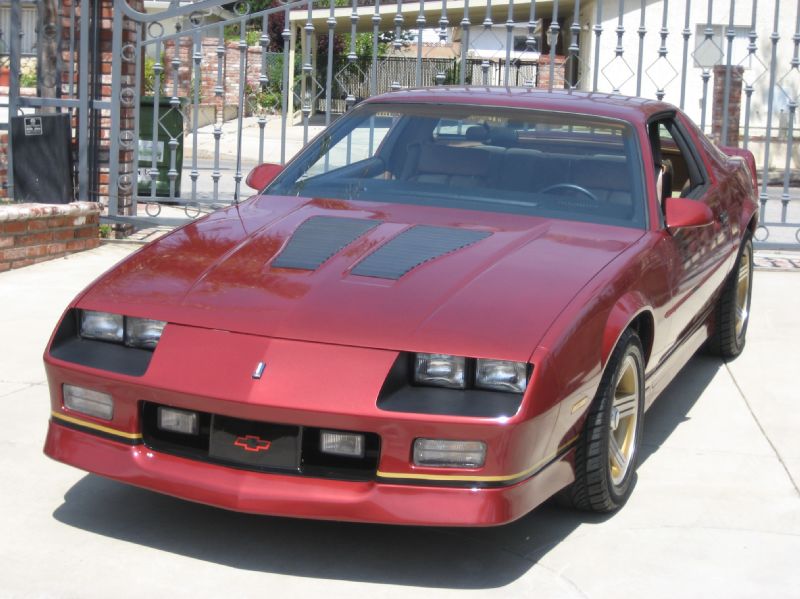 1988BURGENDYIROCZ/10.JPG