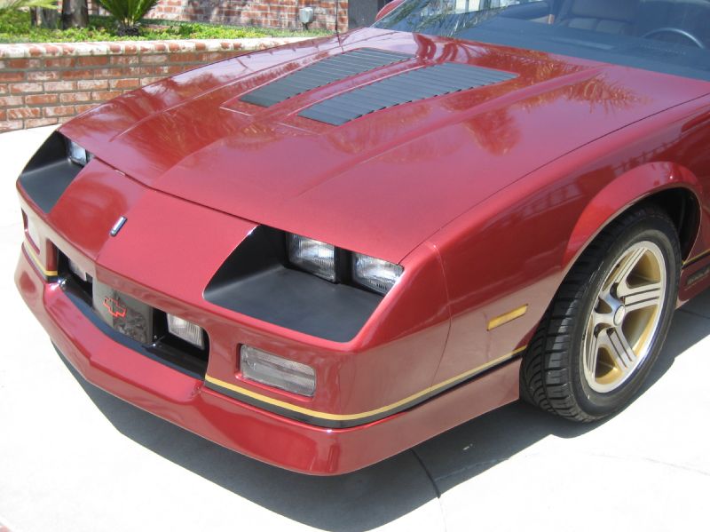 1988BURGENDYIROCZ/10.JPG