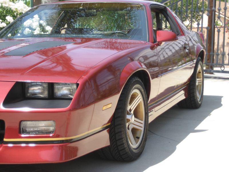 1988BURGENDYIROCZ/10.JPG