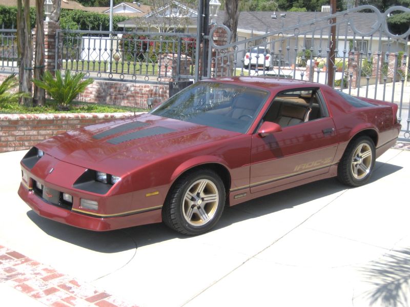 1988BURGENDYIROCZ/10.JPG