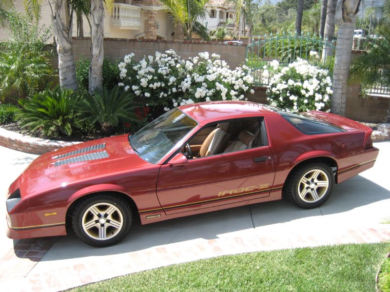 1988BURGENDYIROCZ/10.JPG