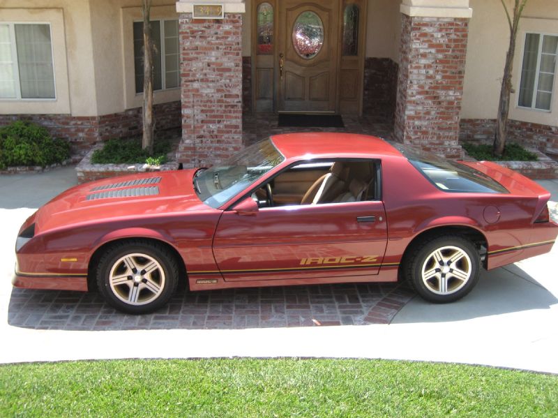 1988BURGENDYIROCZ/10.JPG