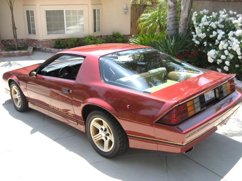 1988BURGENDYIROCZ/10.JPG