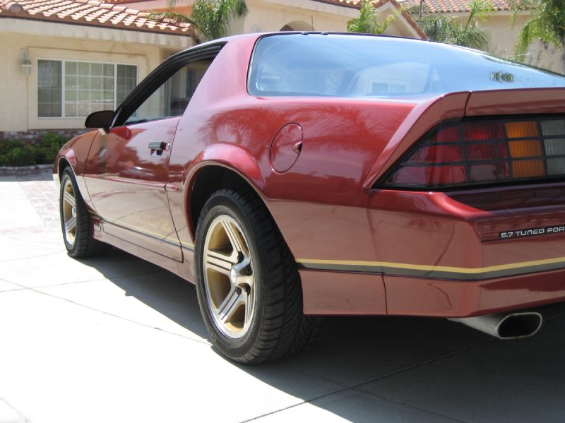 1988BURGENDYIROCZ/20.JPG