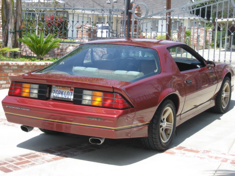 1988BURGENDYIROCZ/20.JPG