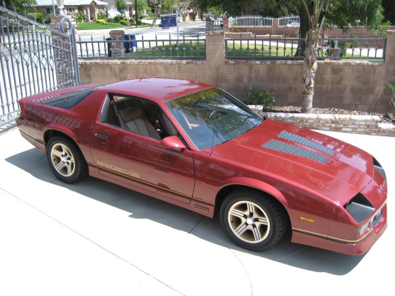 1988BURGENDYIROCZ/20.JPG
