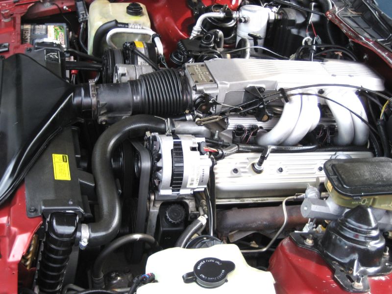 1988BURGENDYIROCZ/30.JPG
