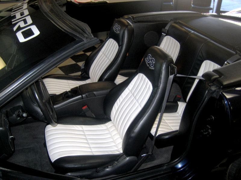 2000clonebluewhitestipessscv/20.JPG