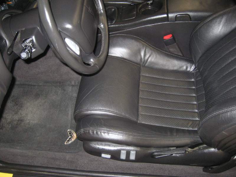 2002COLLECTORWS6TRANSAM6SPEEDCONVERTIBLE/50.JPG