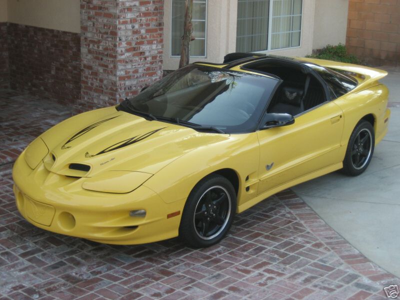 2002WS6COLLTTOPYELOW/1.jpg