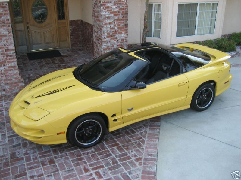 2002WS6COLLTTOPYELOW/2.jpg