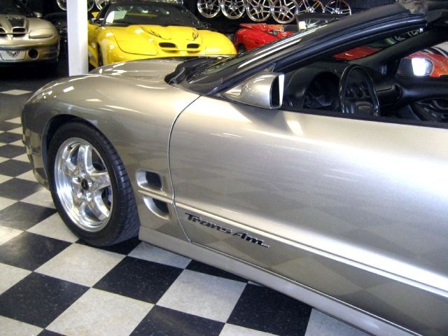 2002pewterws6ttop6speedwithblack30thstripes/25.JPG