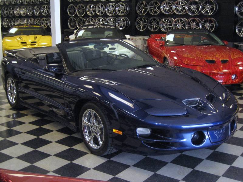 432BLUECVFIREHAWK6SPEED/19.JPG