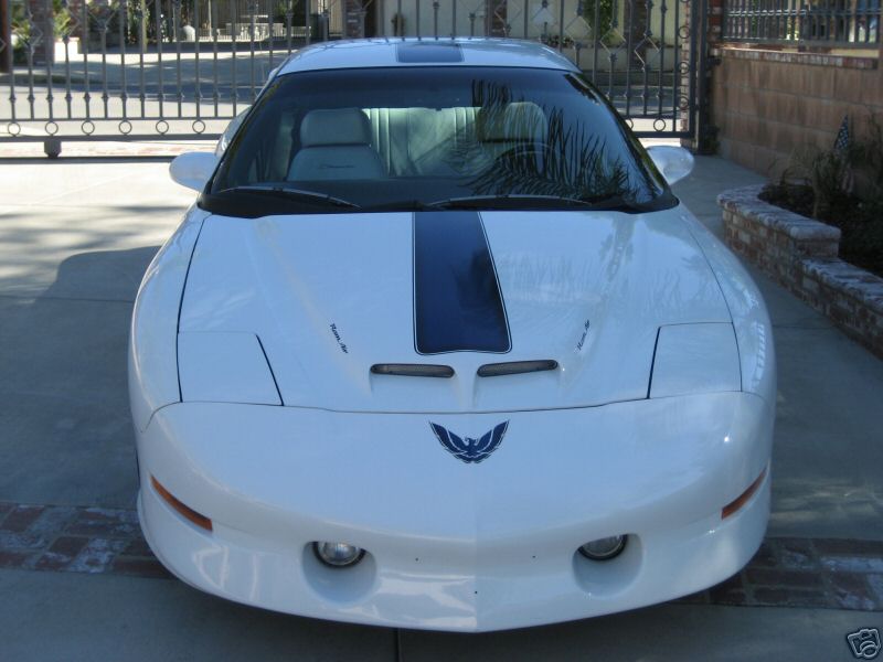 94WS625THWHITE/WS611.jpg